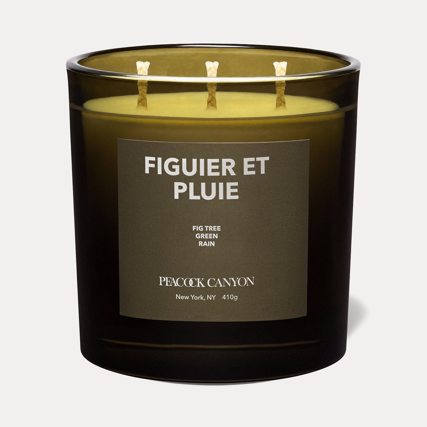 FIGUIER ET PLUIE XL Candle