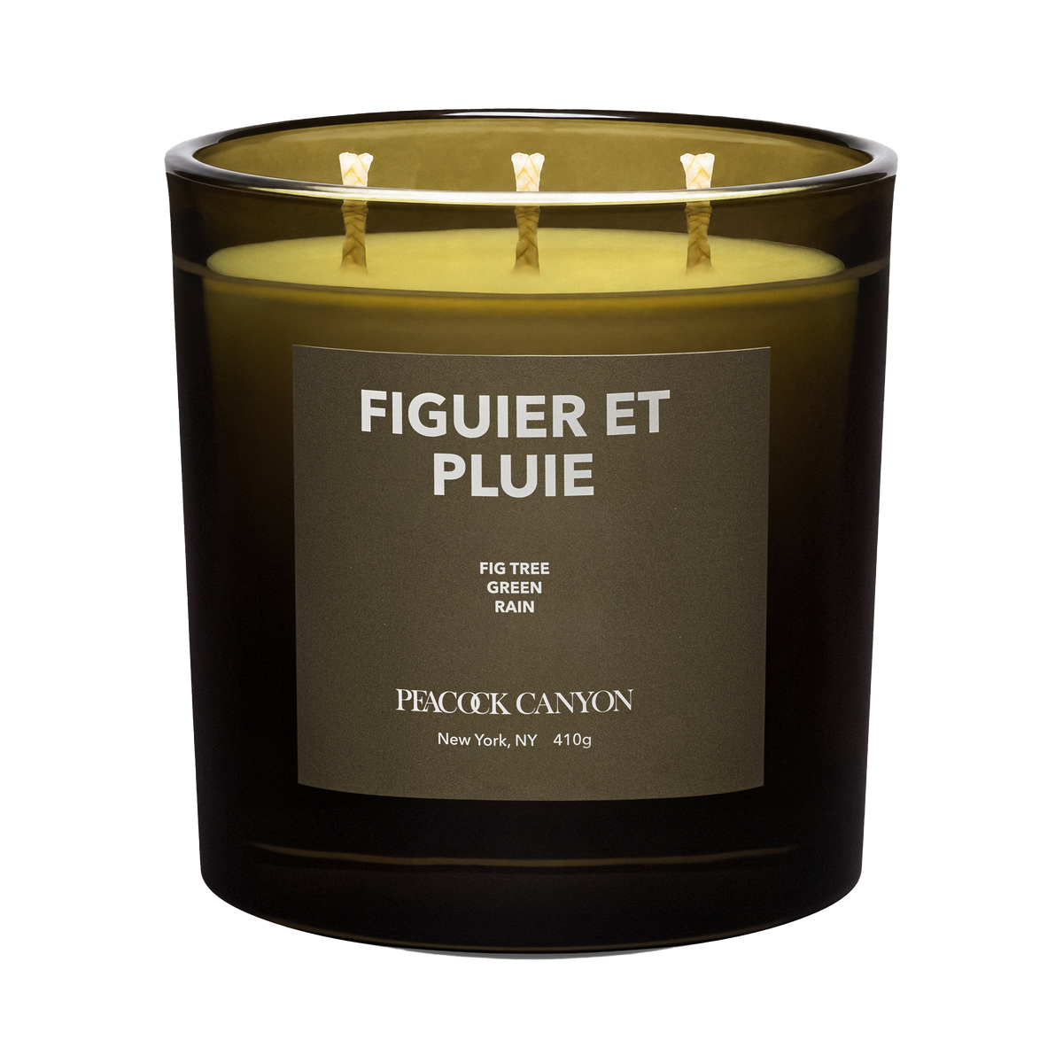 Figuier et Pluie