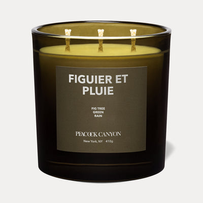 Figuier et Pluie XL Candle