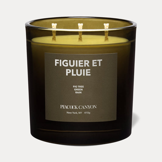 FIGUIER ET PLUIE XL Candle