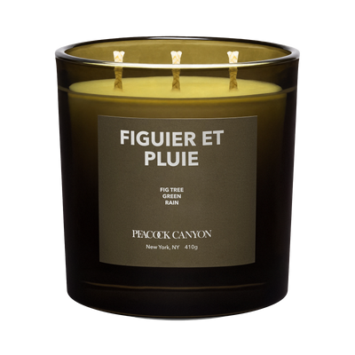 Figuier et Pluie