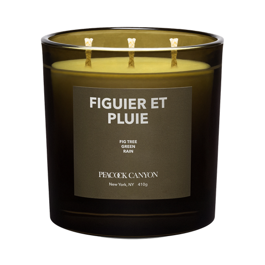 Figuier et Pluie