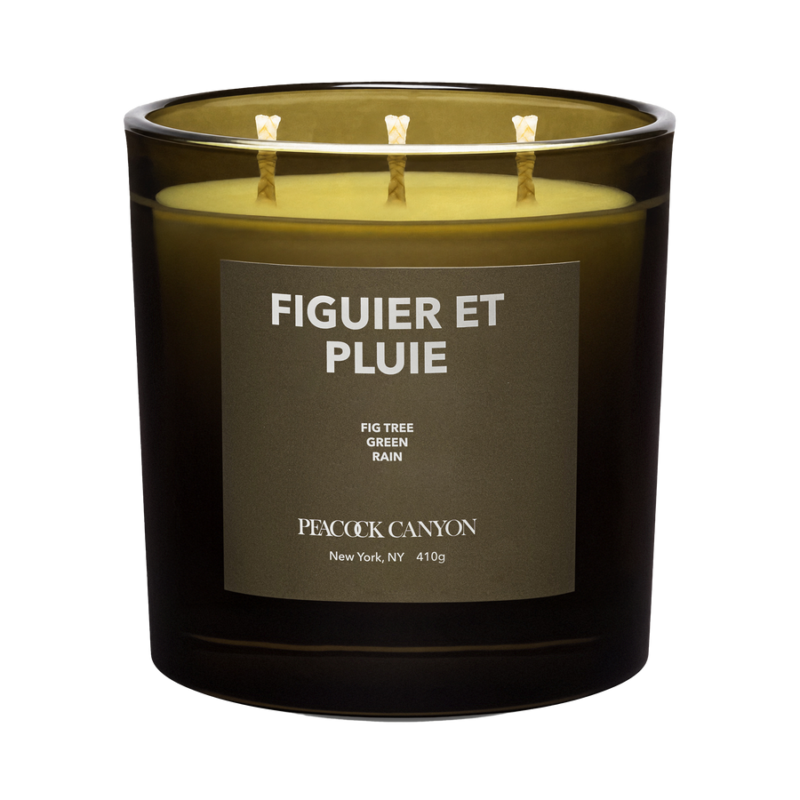 Figuier et Pluie