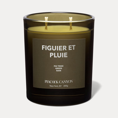 Figuier et Pluie Candle