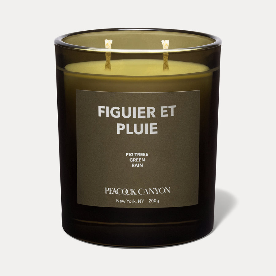 Figuier et Pluie