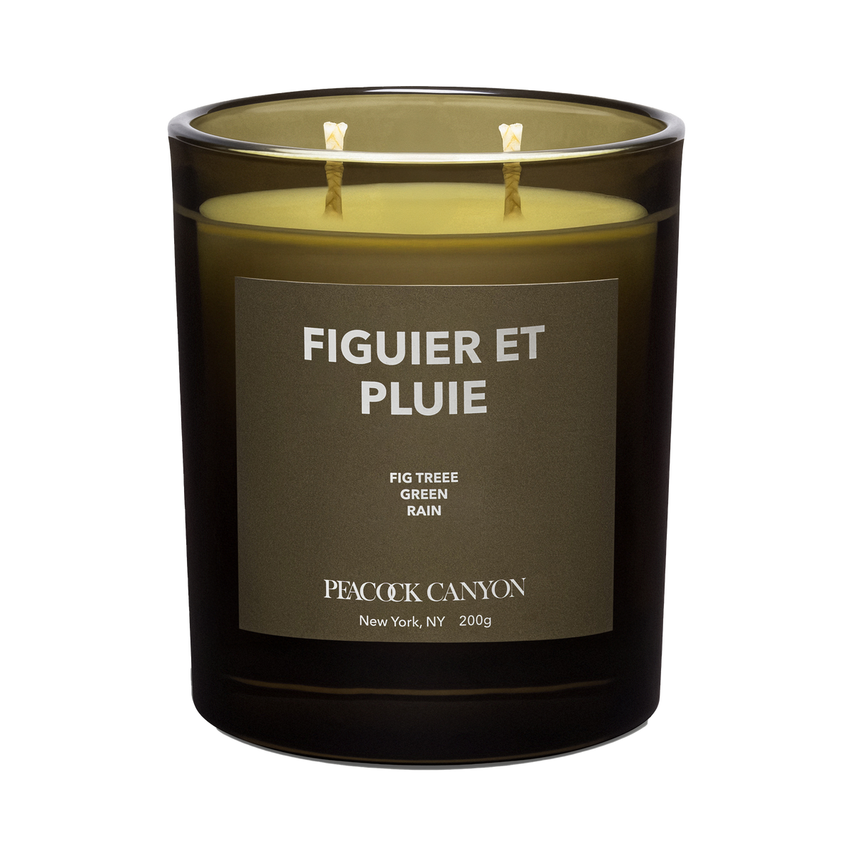 Figuier et Pluie
