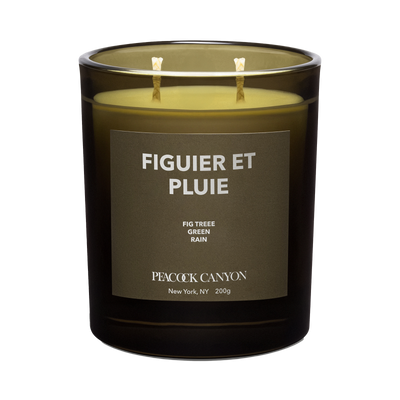 Figuier et Pluie