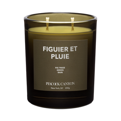 Figuier et Pluie