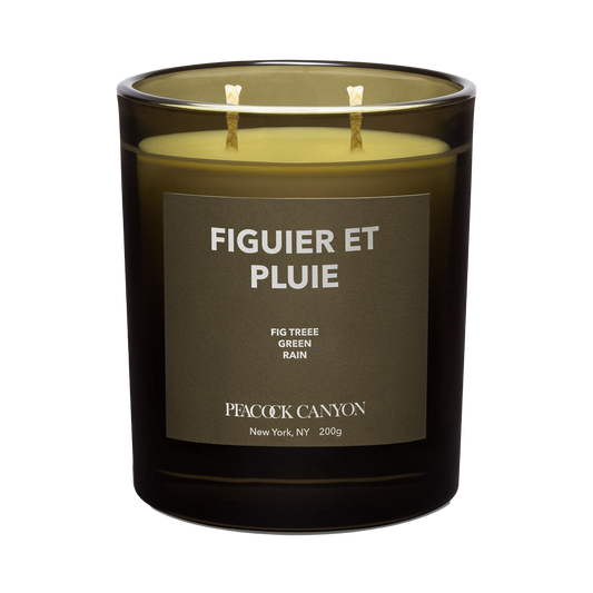 Figuier et Pluie
