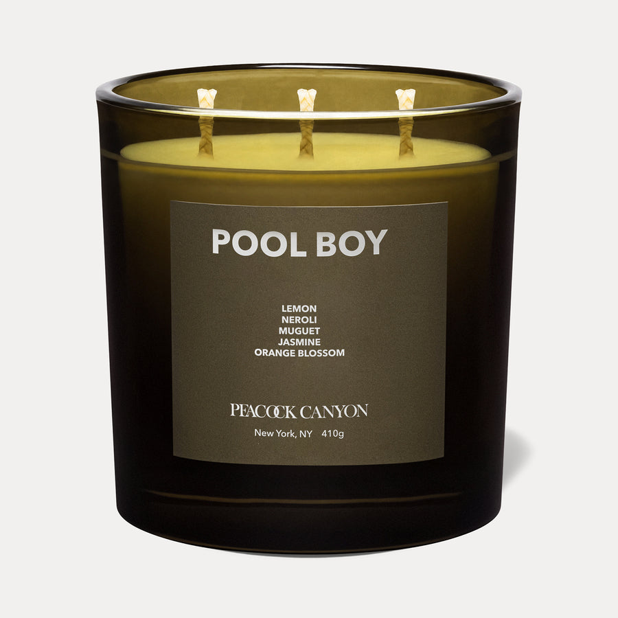 Pool Boy