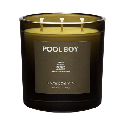 Pool Boy