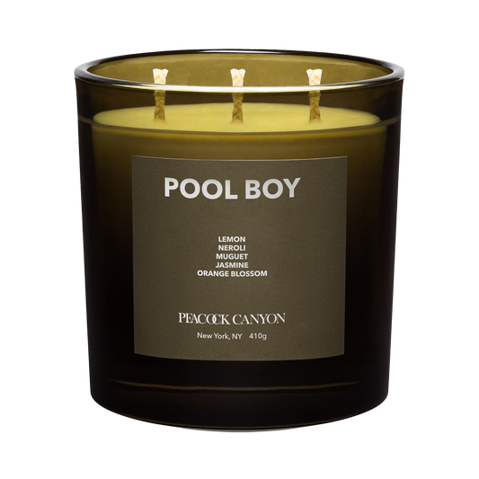 Pool Boy