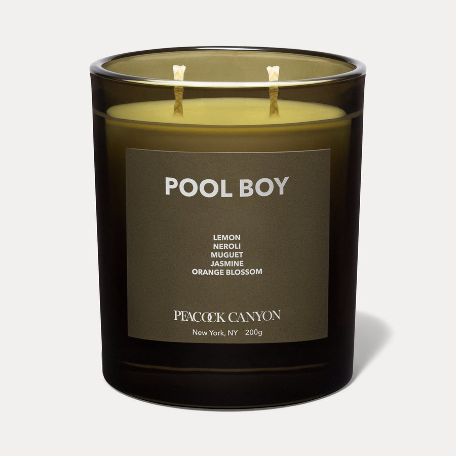 Pool Boy