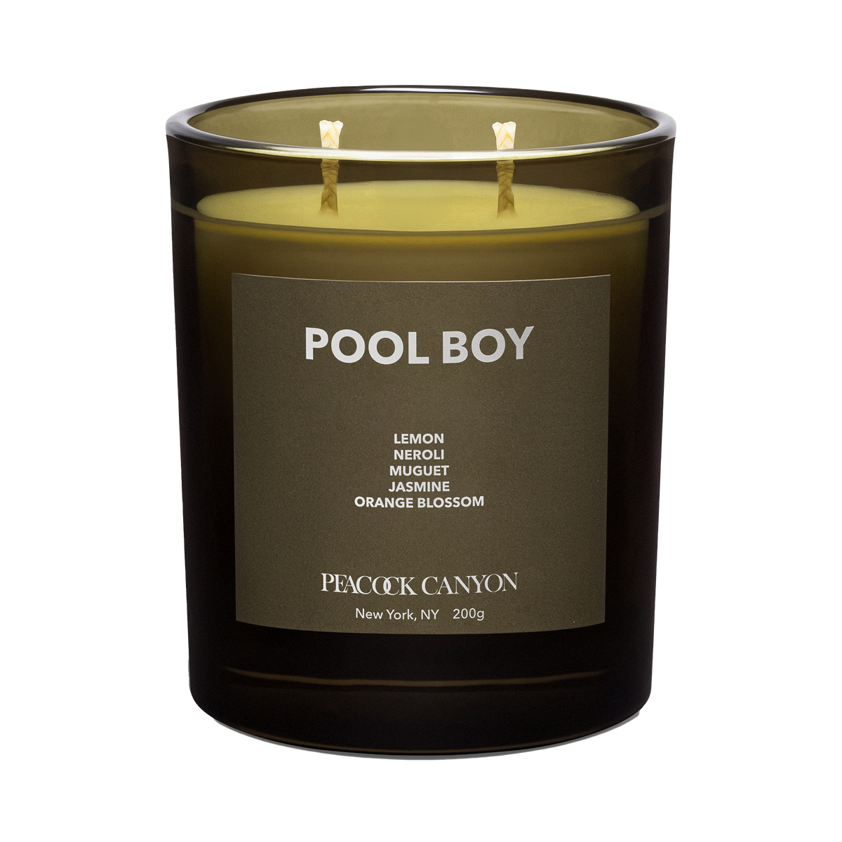 Pool Boy