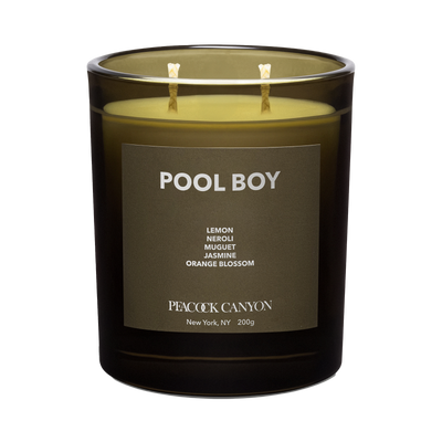 Pool Boy