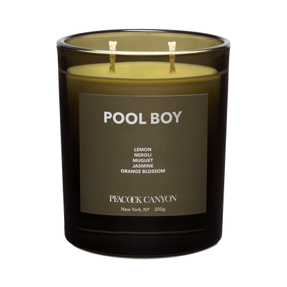 Pool Boy