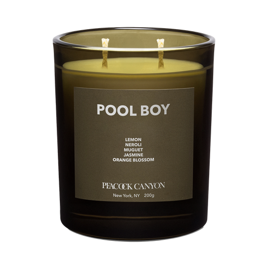 Pool Boy